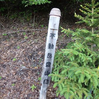やっと不動登山口
だいぶ歩いてきたのにまだ始まってない😭