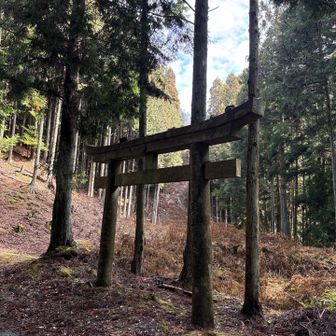 奈良原神社遥拝の鳥居だろうか？
すぐ横に車を置いてスタートした🚗