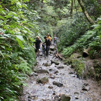 沢の中の登山道