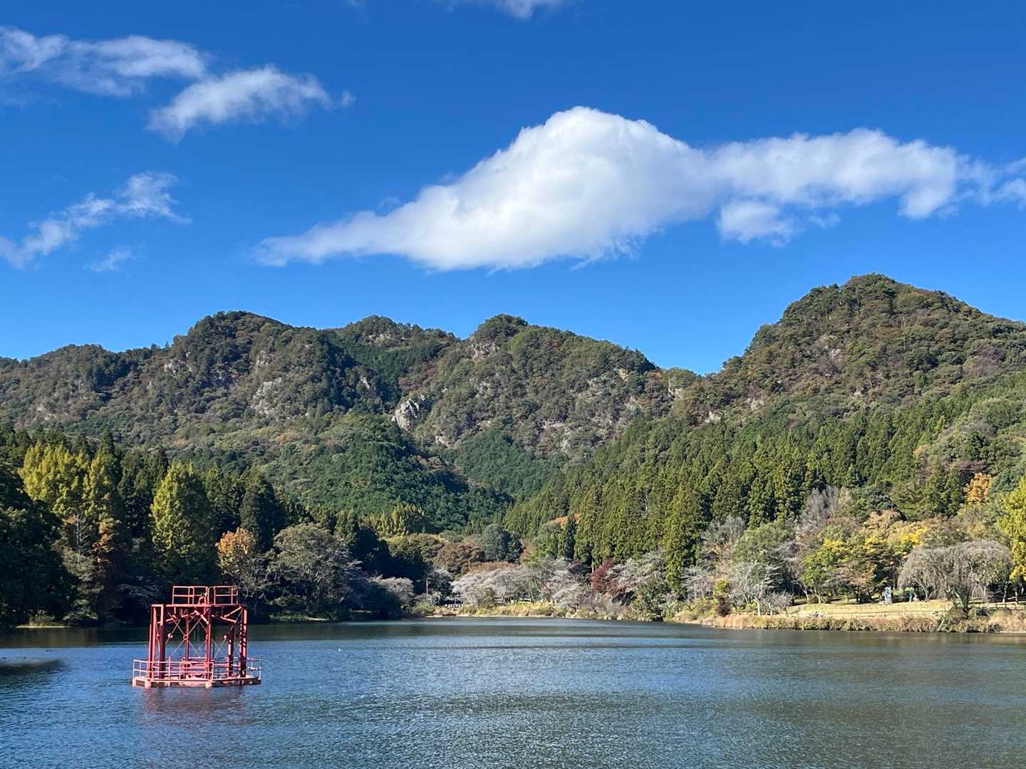 登った古賀志山⛰️