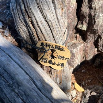 登った左手にちっこい標識が❗️先にある岩場付近が山頂だと思っていました。初めての登山は鳳来寺山だったので、初めからの勘違いは中々の感慨深さです🤗