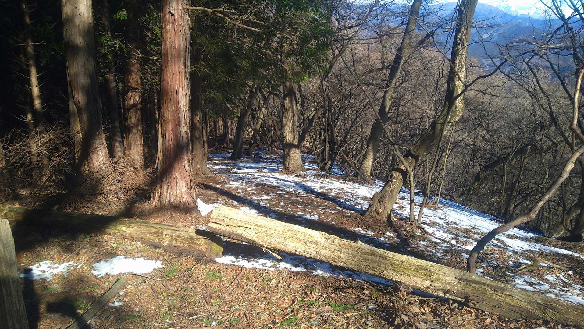山頂付近には残雪もありました