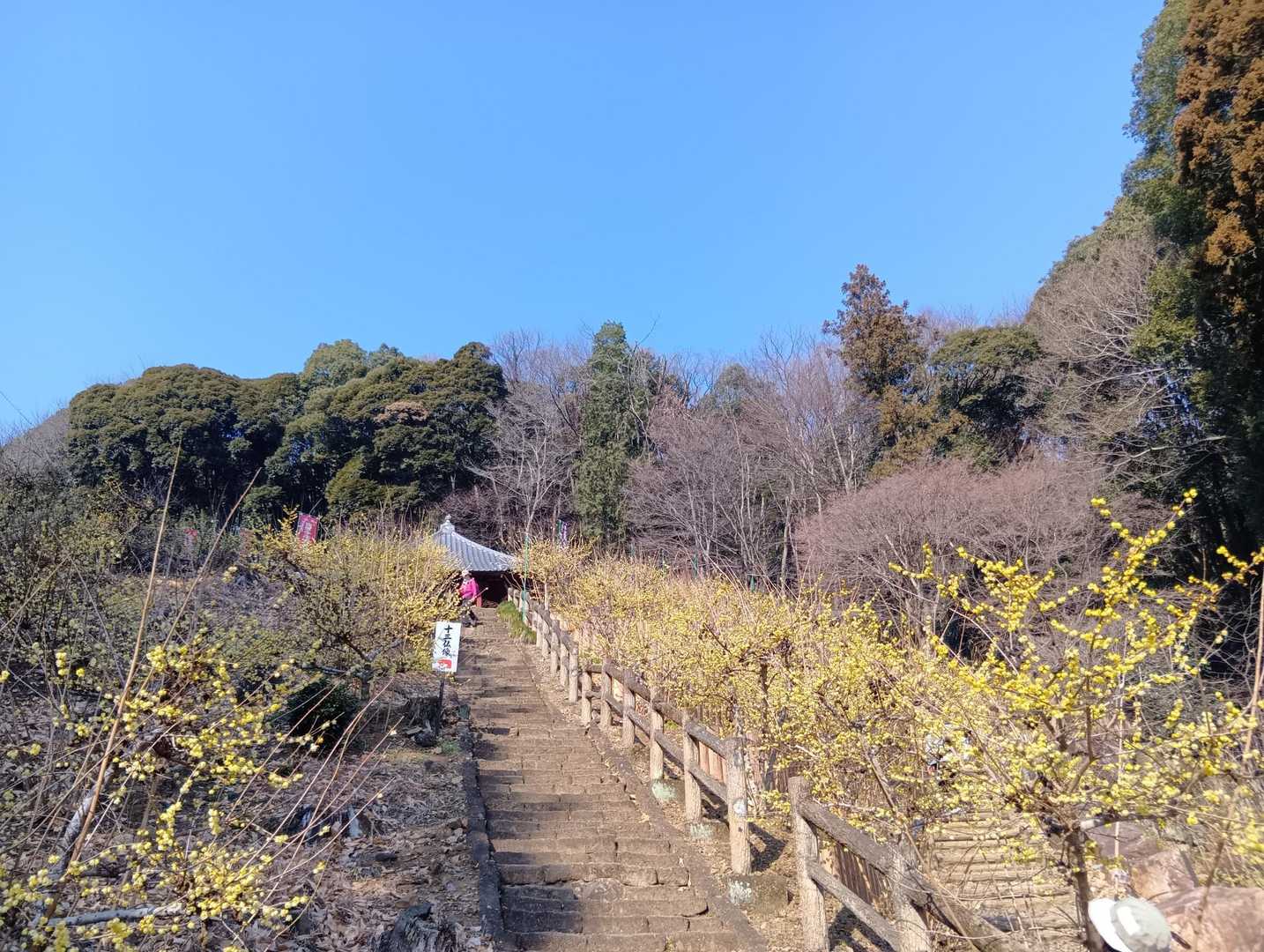 見事な本数でした！