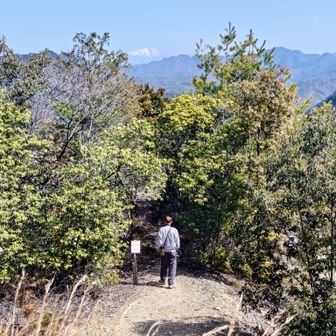 「つつじの小径」へ