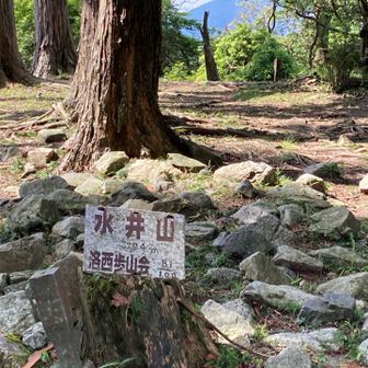 水井山　登頂🙌