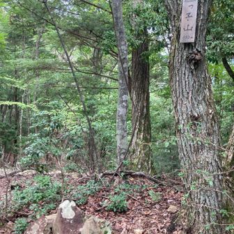 こっちにも。