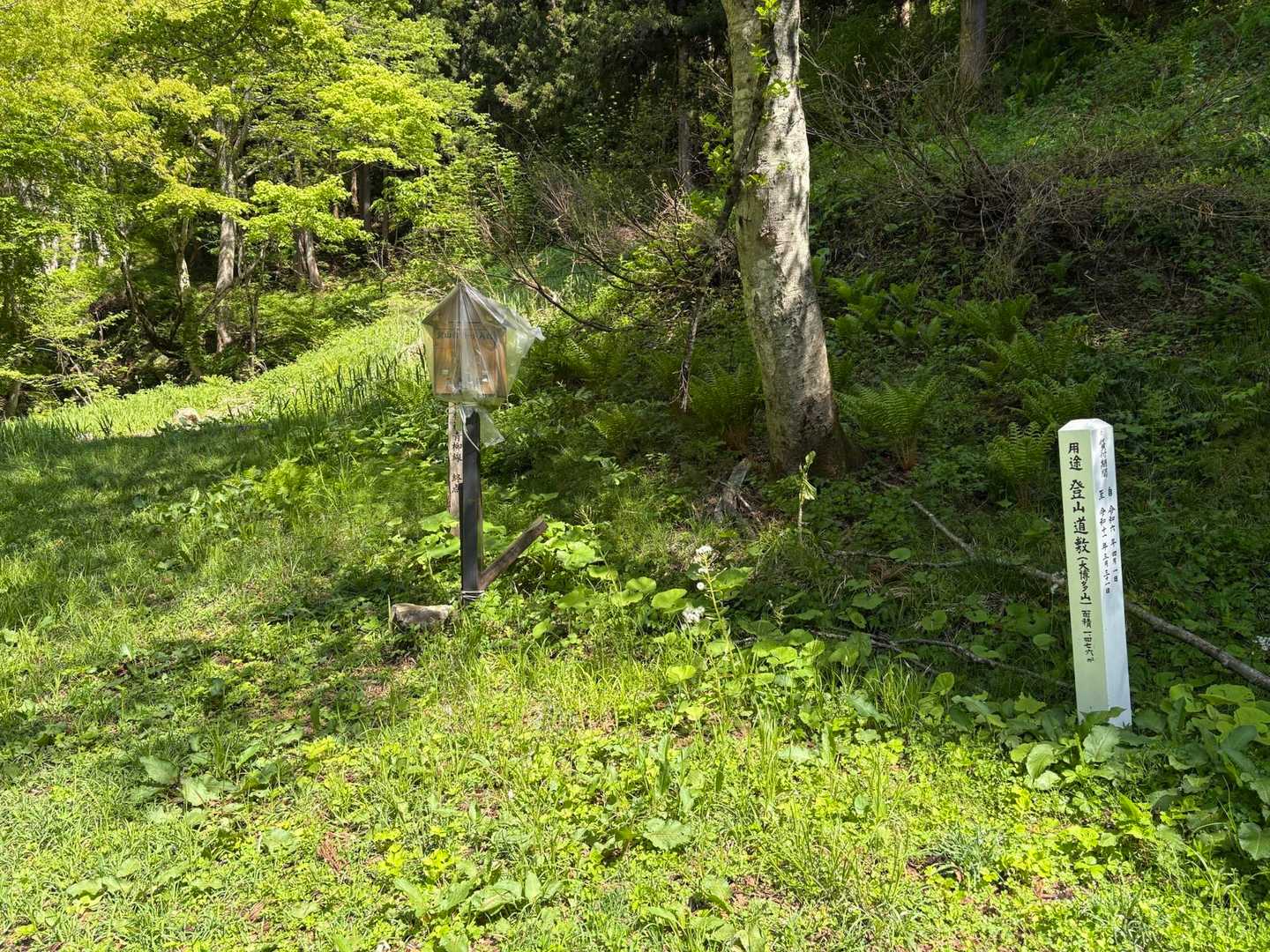 登山口。

唸り声がした気がしたので爆竹で入山の合図🧨
自分がビビる
