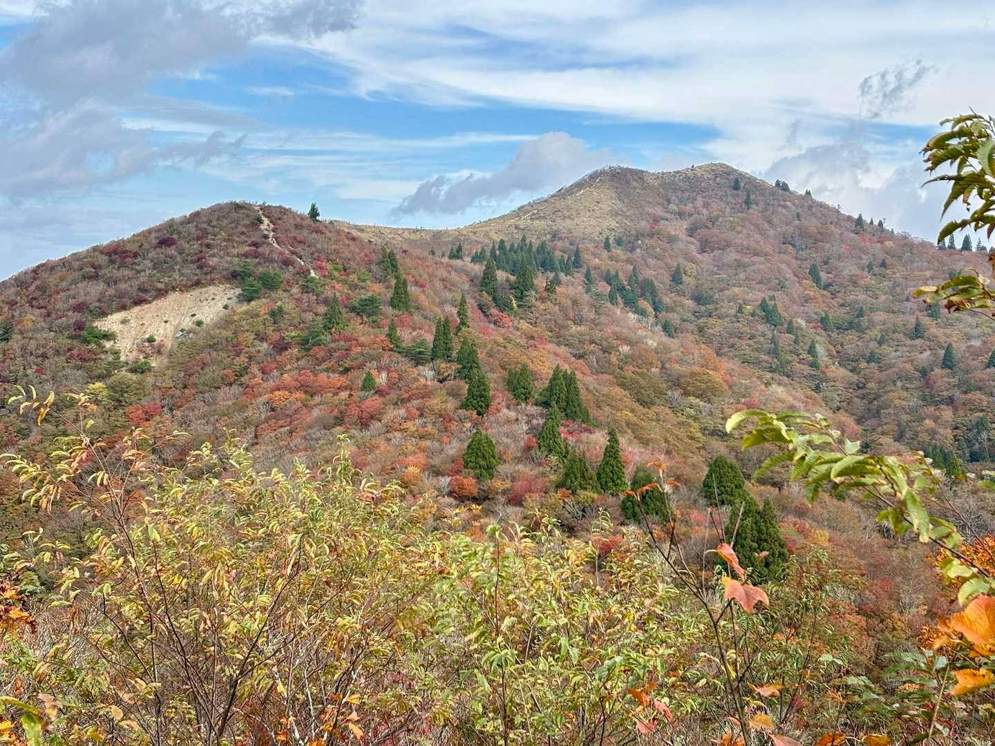 西南稜コース | 比良最高峰・武奈ヶ岳。美しいブナの森から琵琶湖の絶景パノラマへの写真