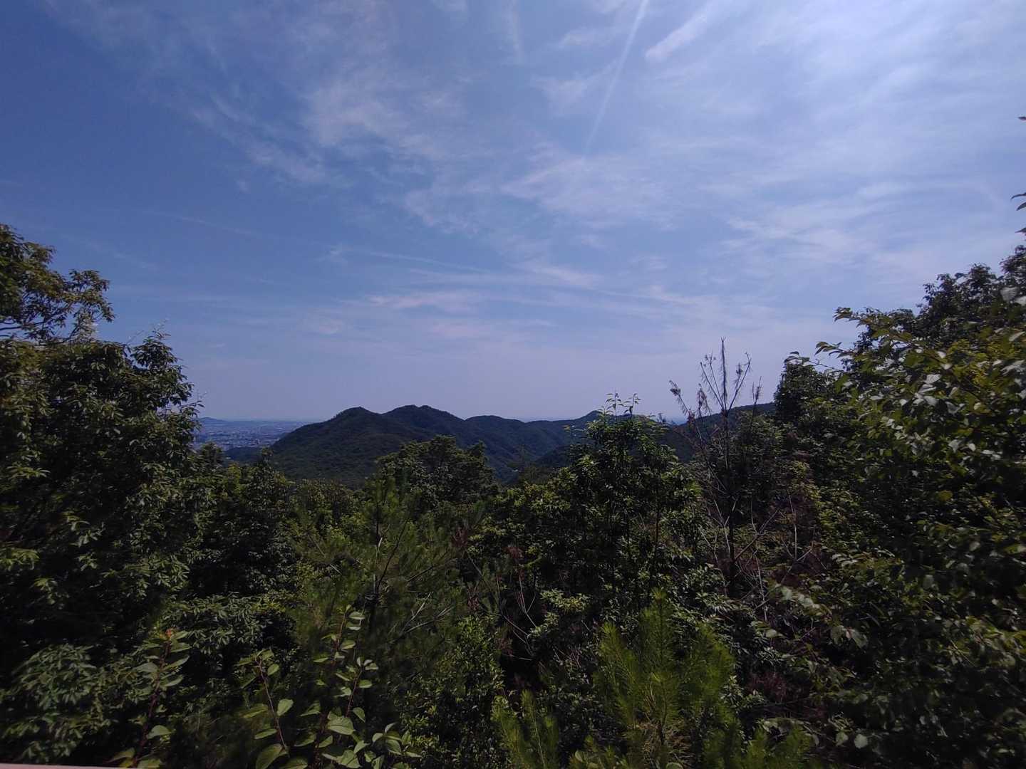 多賀坂峠-迫間山-迫間不動-白竜山寺 周回コースの写真