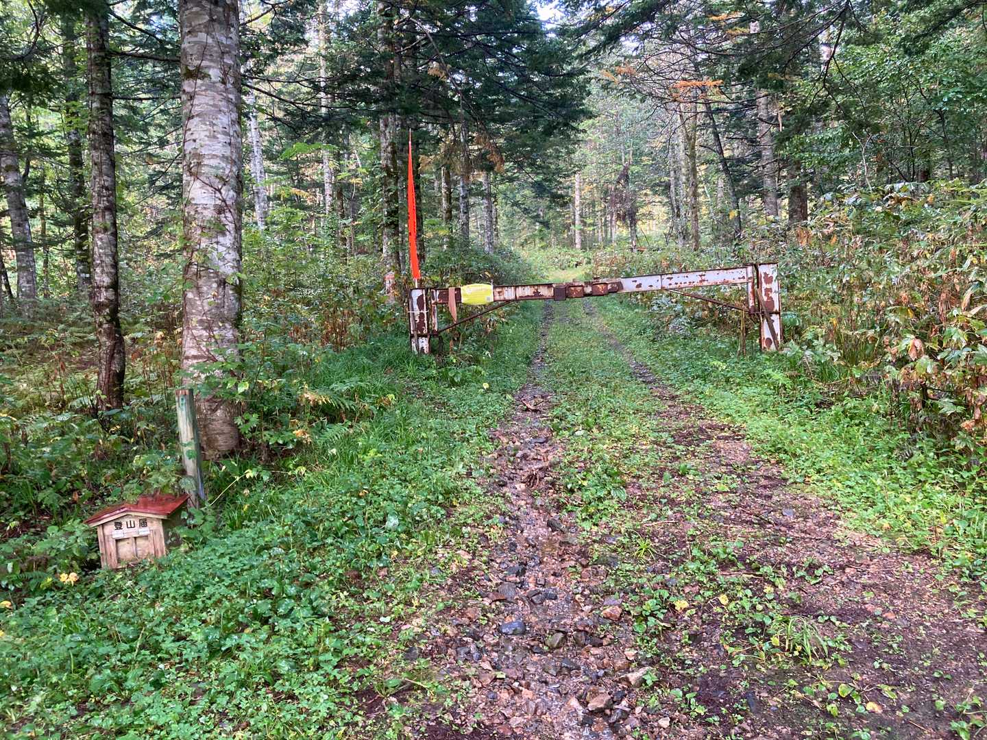 左下に写っている登山届箱は用紙が入っていないようです。
それでは登山開始！