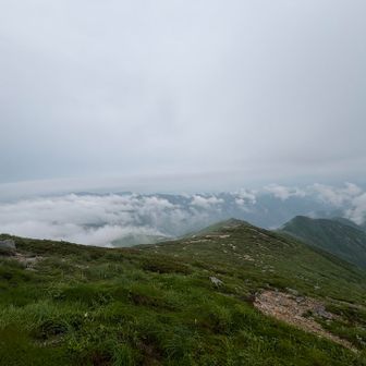 ガスっガスがほんの一瞬消え去り、見えてくる風景に歓声が止まりません😛