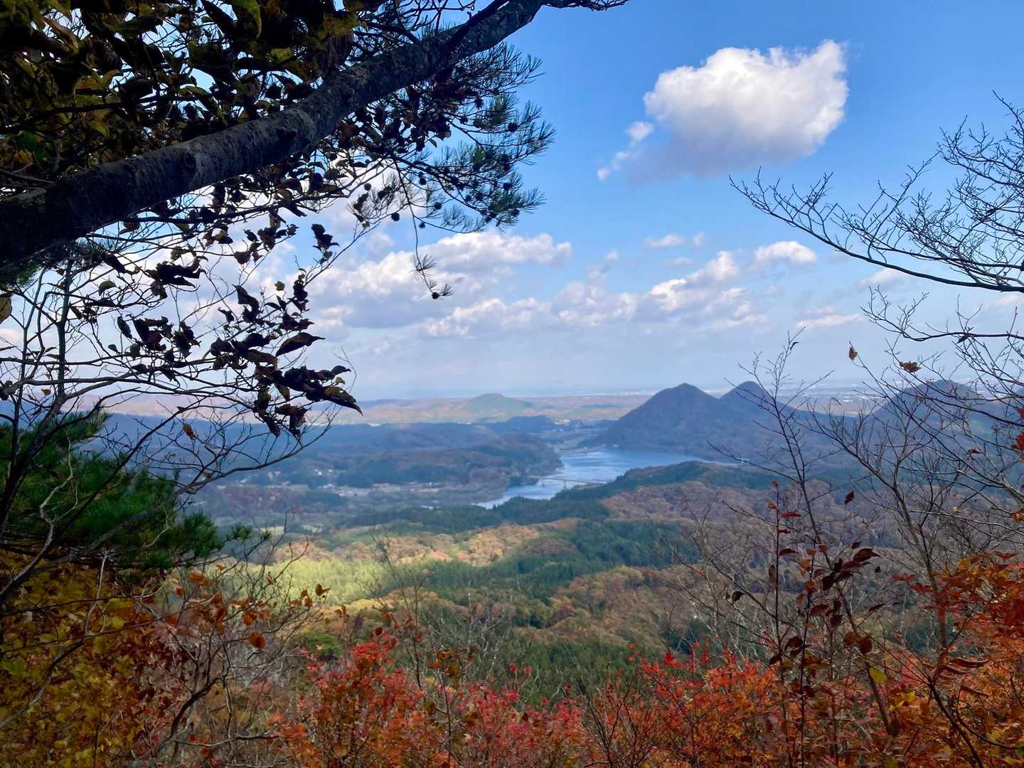 笹倉山 往復コースの写真