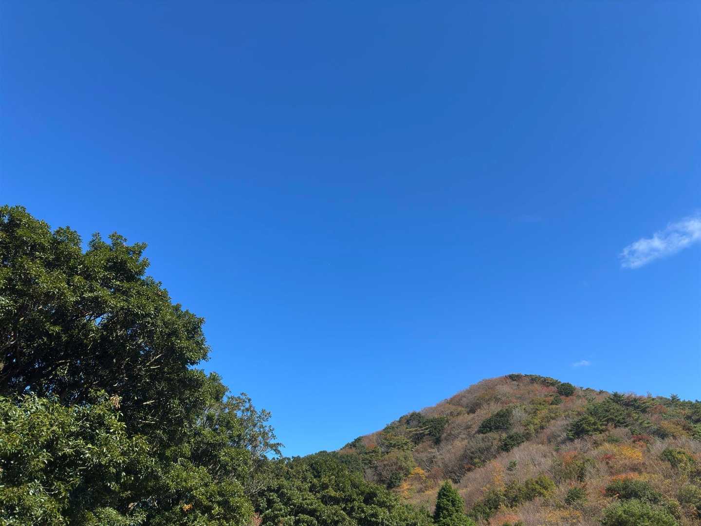 圧巻の人生の並木道から3つの自然湧水池を持つ作礼山への写真