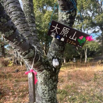 大原山⛰️到着👏

この先、工事👷で通行止めになってました
景観のいい「ぼくらの広場」まで
いきたかったのだけど、、残念🫤

さぁ急いで帰りますか🚶‍♀️🐕‍🦺