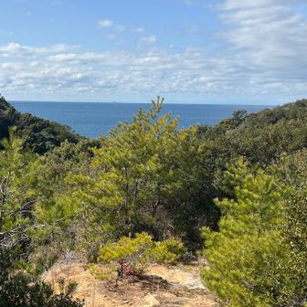 沖合もまずまずや
よっしゃ出漁！