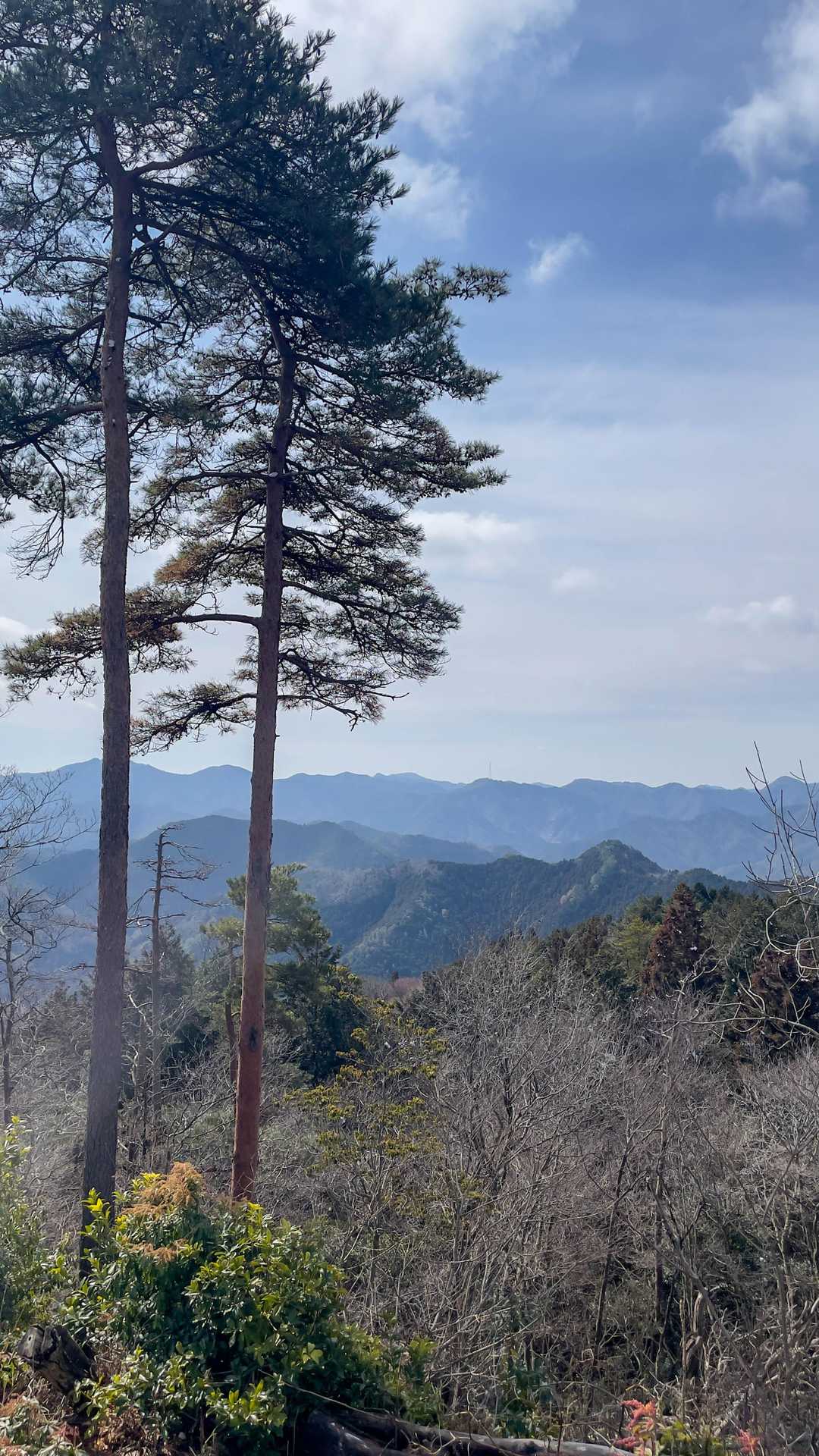 金山-金山登山口 周回コースの写真