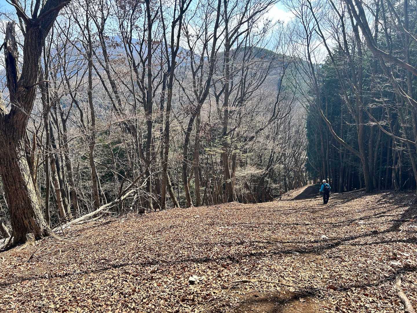 御前山は、低いながらも大きくてどっしりした山です。