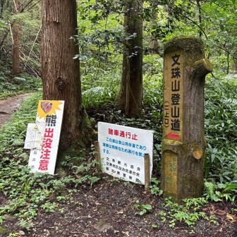 戻ってきました。