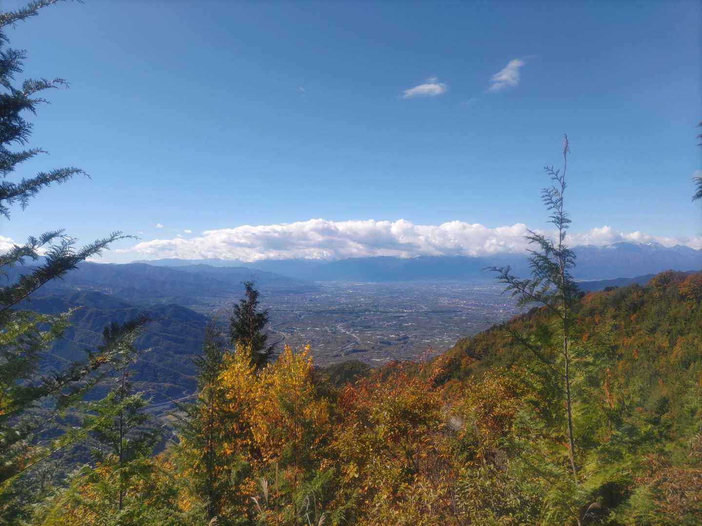 蒼い空も、気持ちいいでしょ🌿