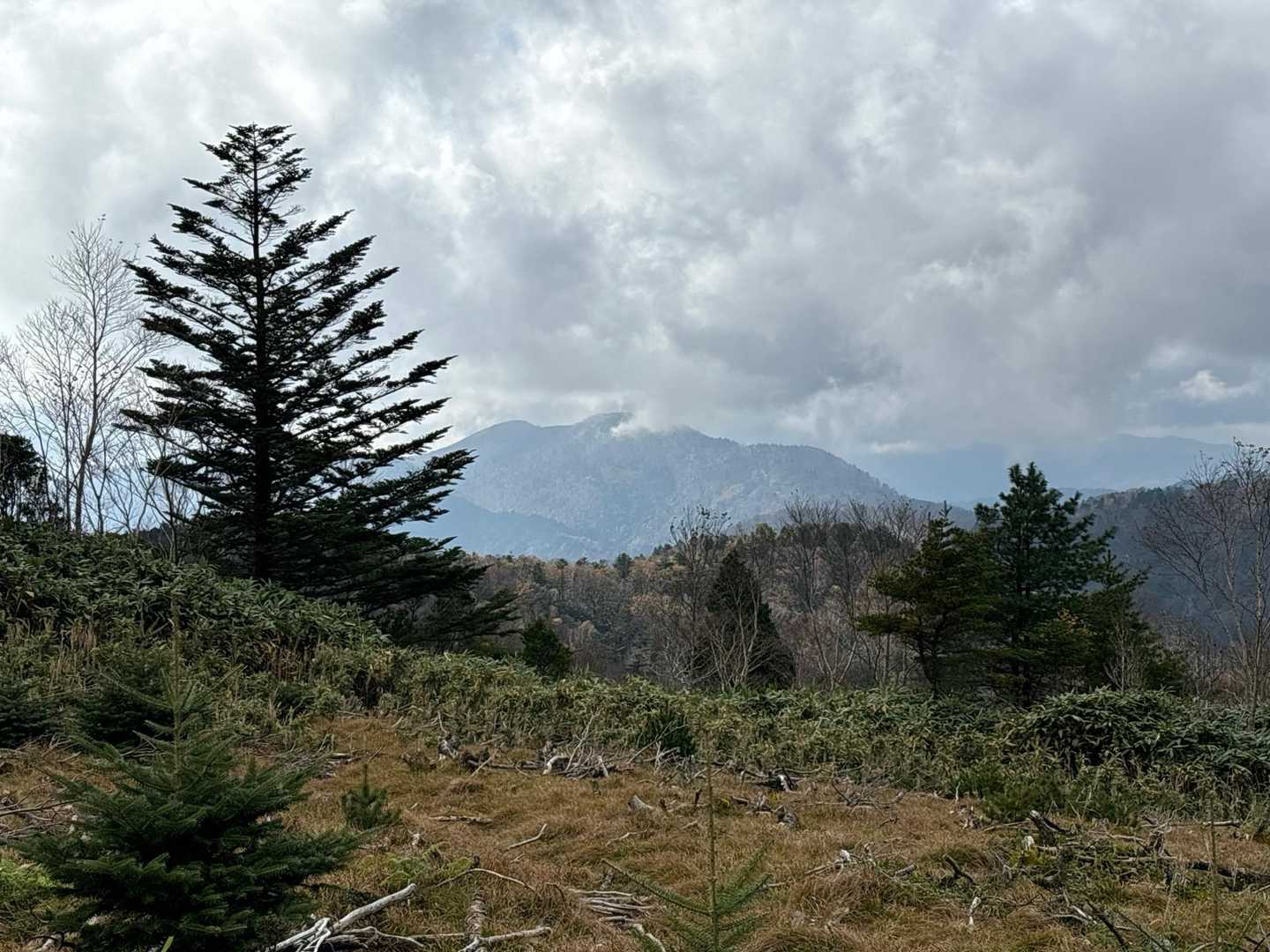 展望所からの川上山