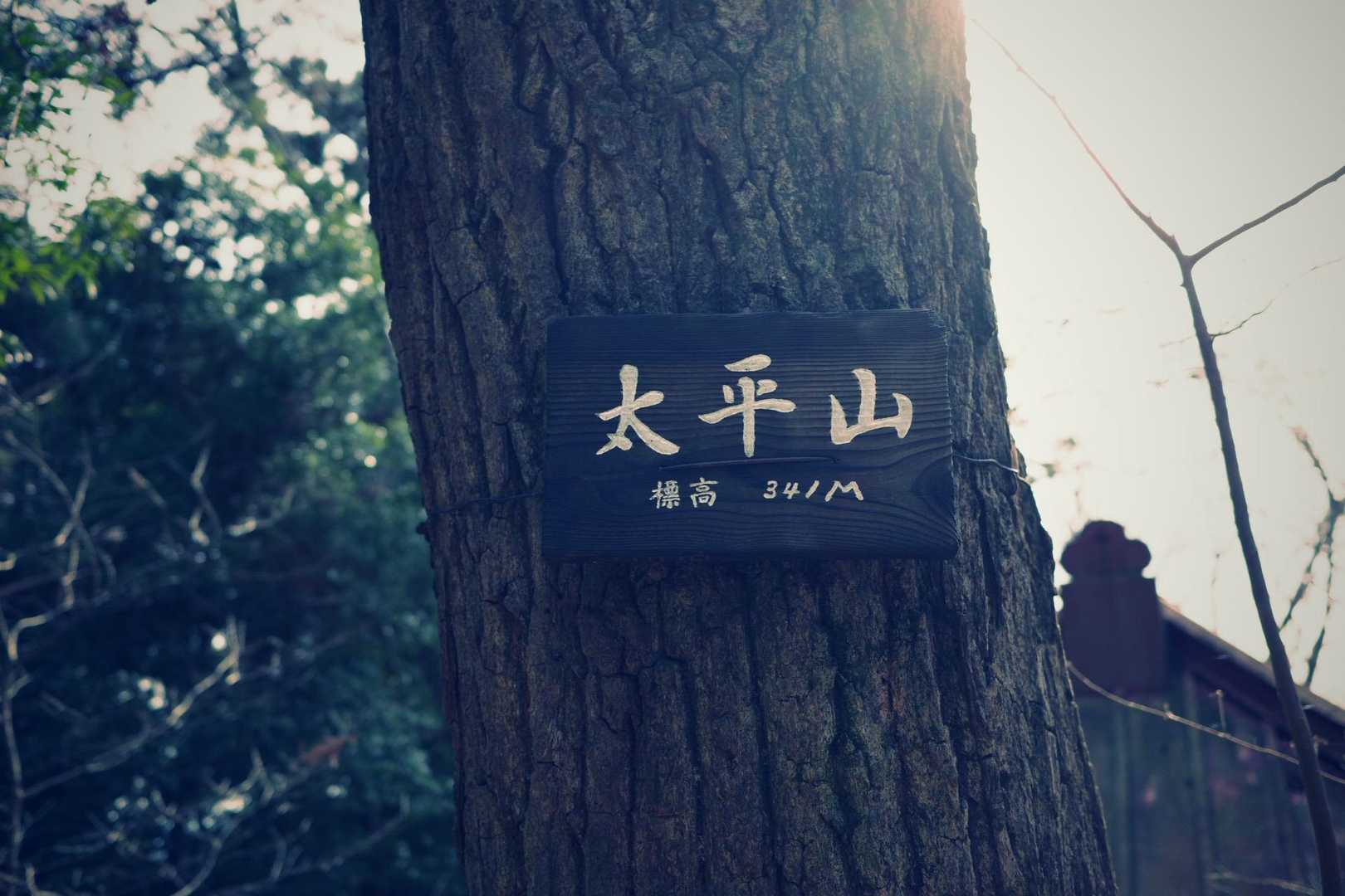 今日のゴール　太平山