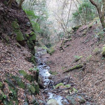 沢の右上は炭焼き跡