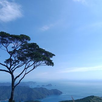 いい景色