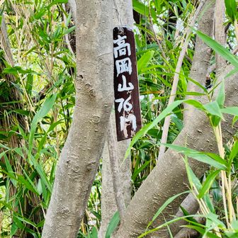 標識は山頂のお社の後ろにあります。