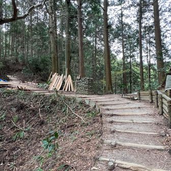 二合目👀ここで気がつく😆
登山口のところの写真撮るの忘れた💦
まあ、いいか🤥