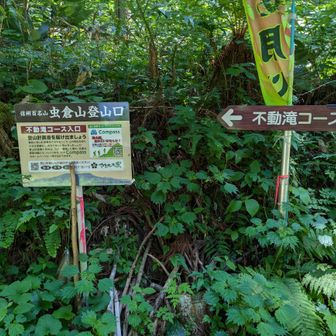 不動滝コース登山口まで下りて来ました