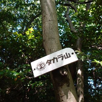 タカラ山です。最後のまっくろくろすけシリーズ