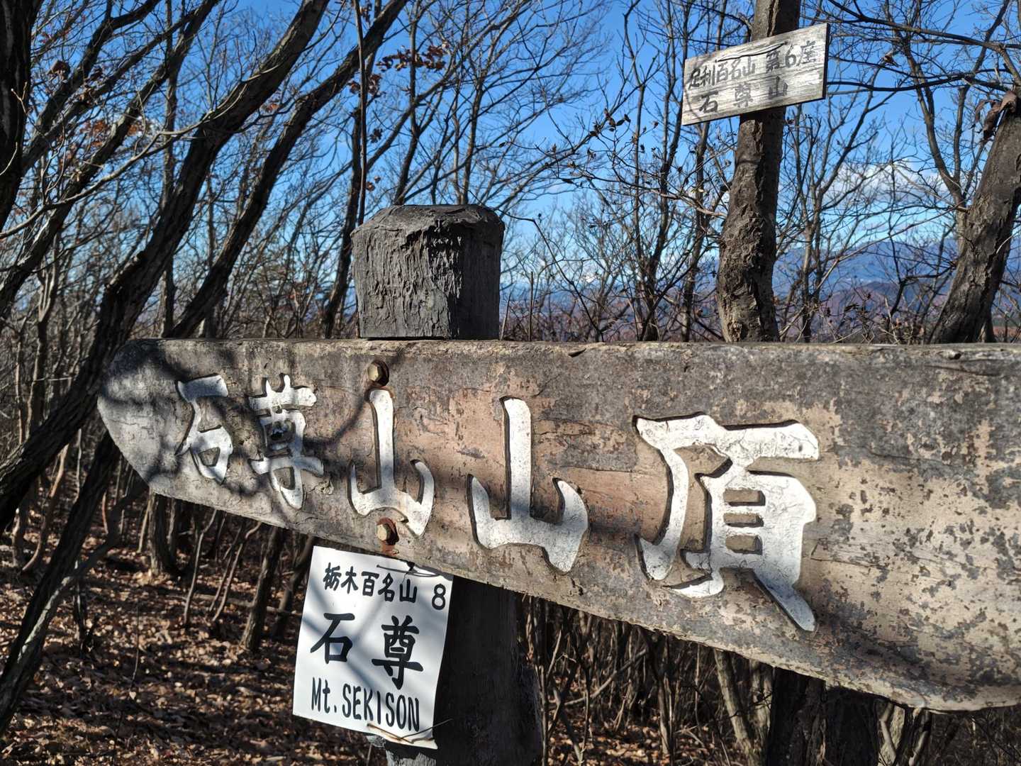 正規ルートに戻り、山頂を踏んで、すぐに戻ります。