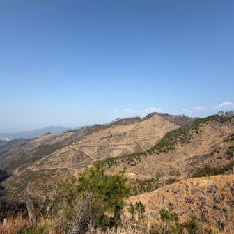 向こう側は帰りに歩く稜線
この時はなんとなく眺めてたのですが、いざ歩いてみると中央の前仙人ヶ岳はえげつなかったです😆

ずいぶんと時間は経過してるけど、山火事の怖さを改めて。一度焼失した森が元に戻るには気が遠くなる年月が必要のようです