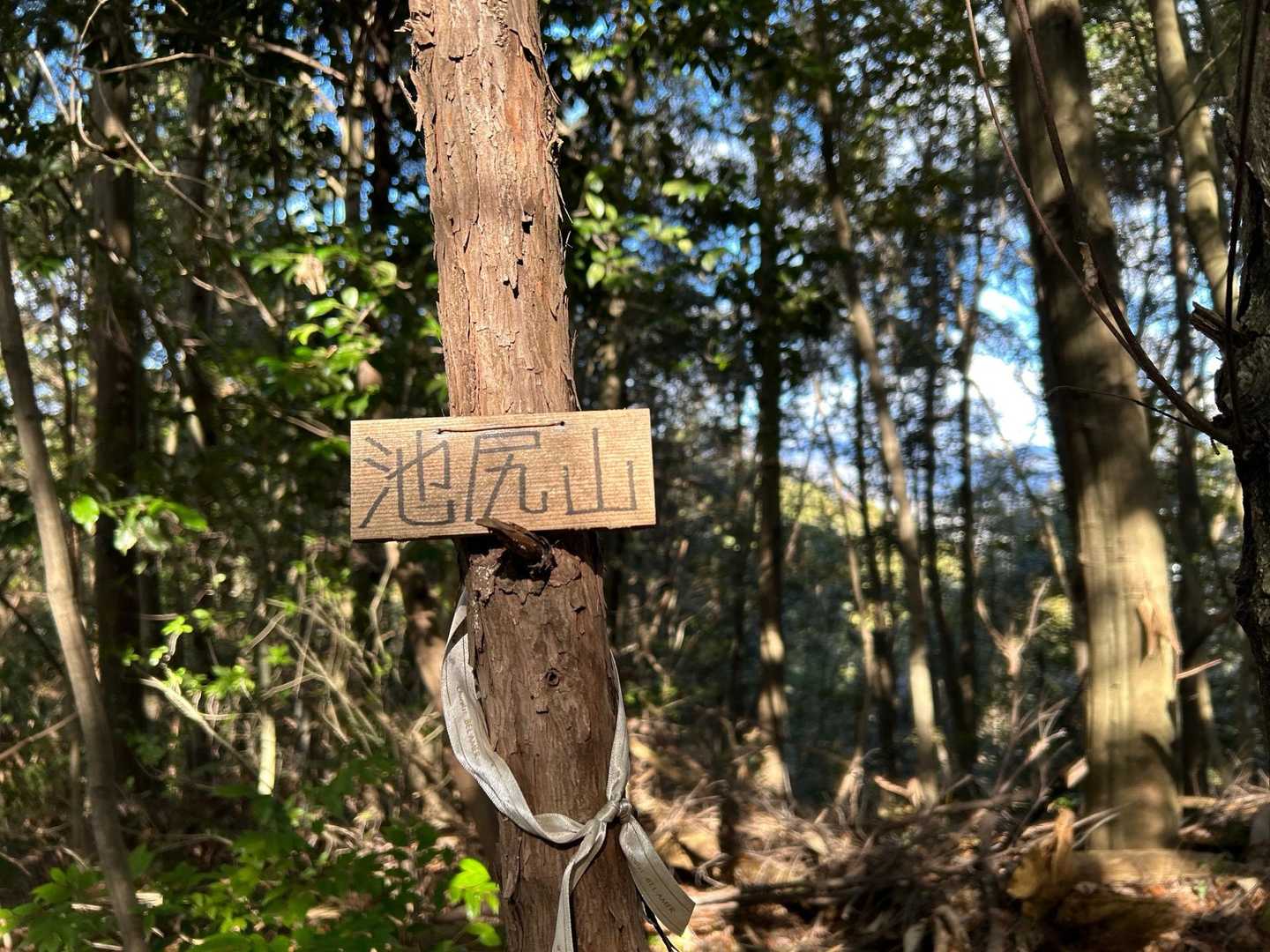 池尻山🙌
眺望はありません。