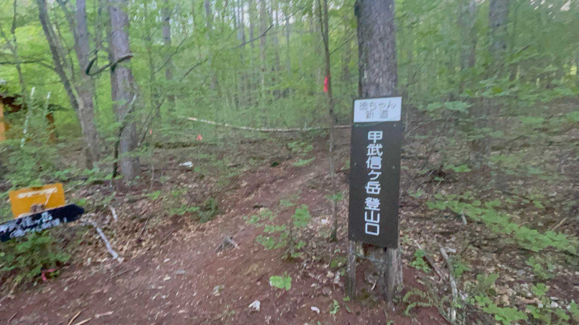 「徳ちゃん新道」入り口ですが、倒木が「通行禁止」って言ってるみたい