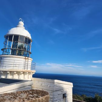 どのアングルも絵になります✨