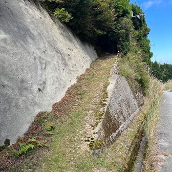 舗装道路を下っていると現れた登り斜面。このまま下っても戻れるのですが、また登りが辛いので、ここから少し登ってトラバース狙い。