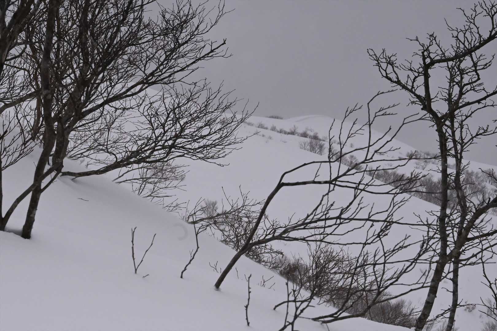 山頂が見えて来ました。