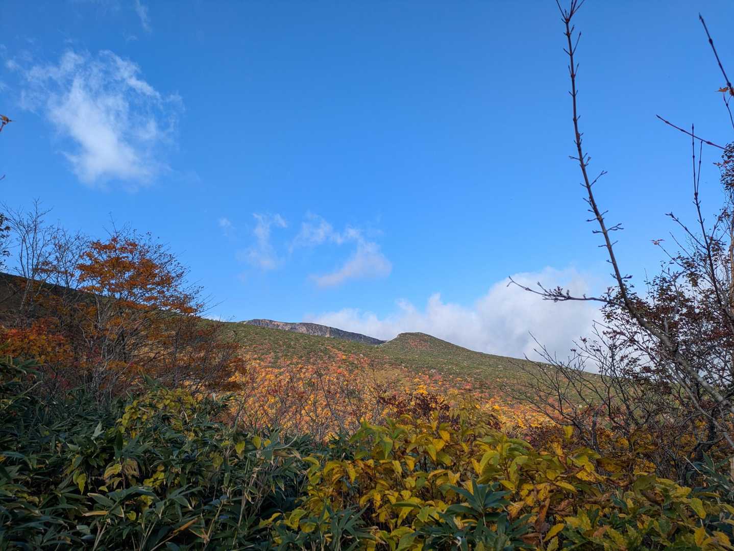 「天は我に見方せり」なんちゃって