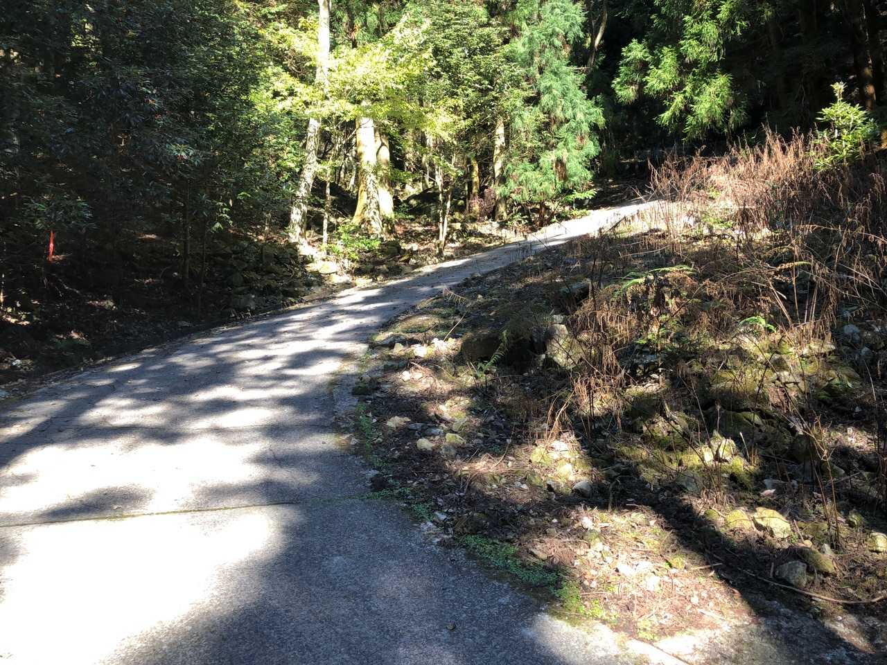 両子山 往復コースの写真