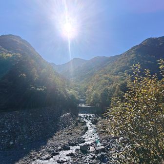 野呂川の支流と北岳