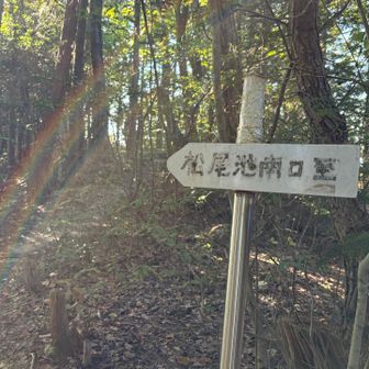 案内標識。松尾池南口至。