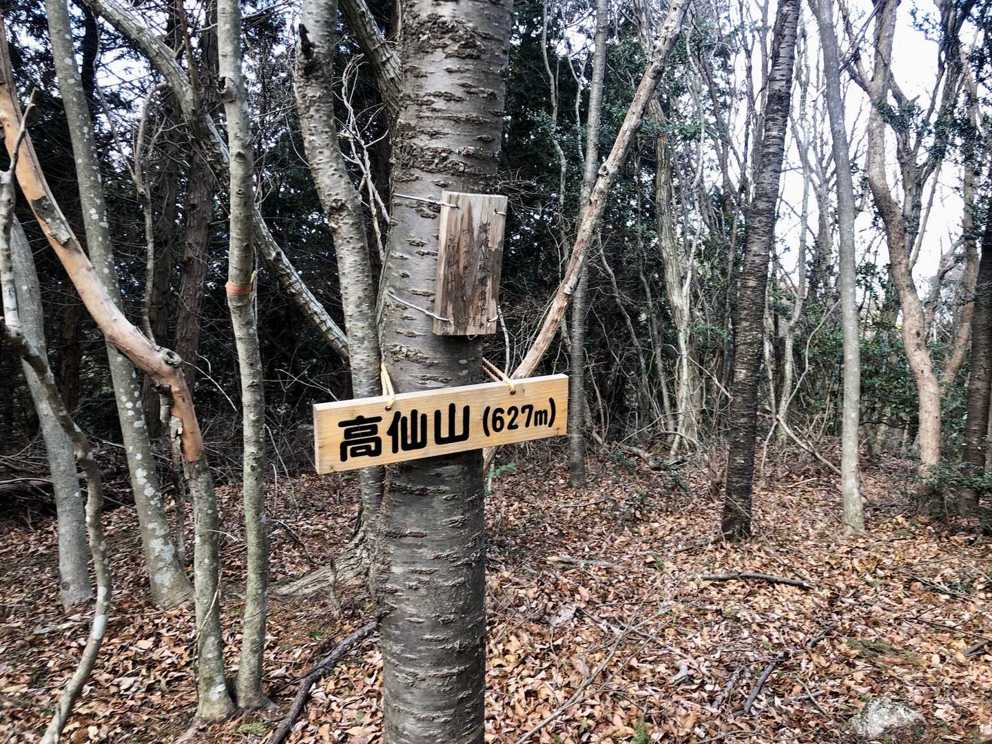 食事を済ませ山頂を取りに行きました