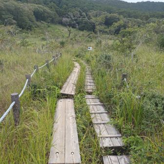 葦毛湿原の長橋