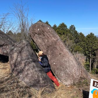 全く入れない😆
