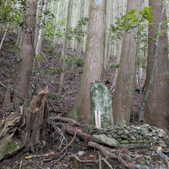 中川王子跡、古道からすこし外れた場所にあります。石塔等は残ってないっぽい