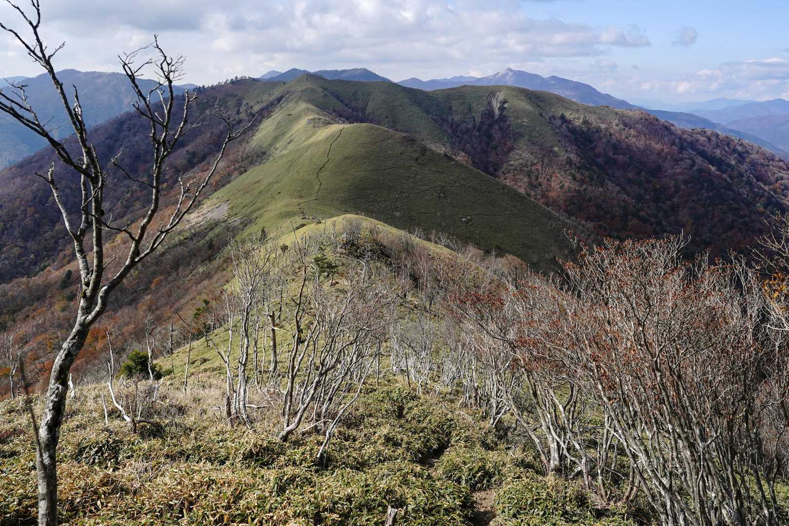林の向こうに丸石山