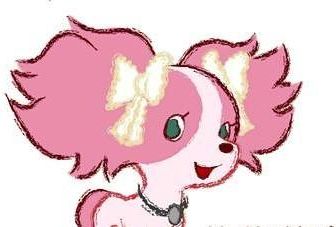 Candy