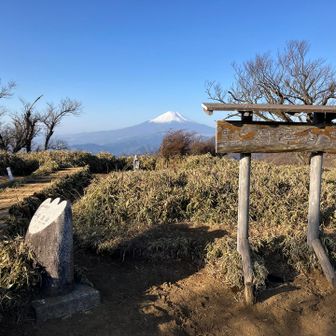 丹沢山到着🙌　富士山バッチリ👍