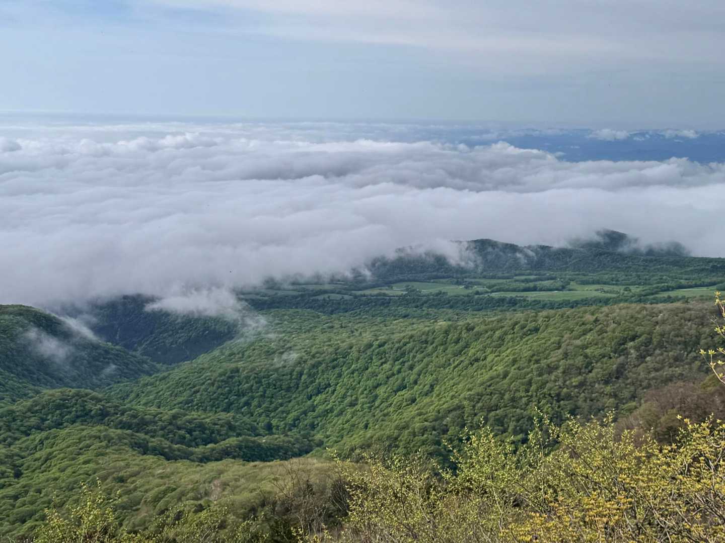 大入道-剣ヶ峰-八方ヶ原大間々台登山口 周回コースの写真